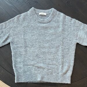 Everlane Heather Grey Ribbed Cocoon Crew